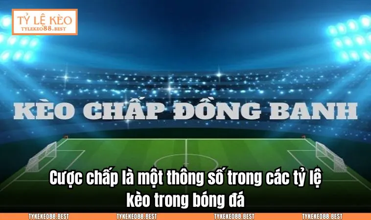 Cược chấp là một thông số trong các tỷ lệ kèo trong bóng đá