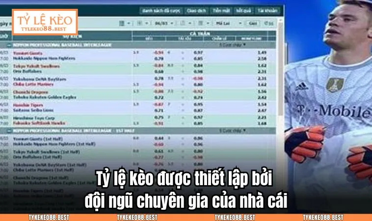 Tỷ lệ kèo được thiết lập bởi đội ngũ chuyên gia của nhà cái