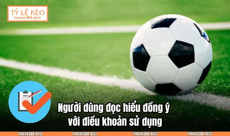 dieu khoan su dung 1 Người dùng đọc hiểu đồng ý với điều khoản sử dụng