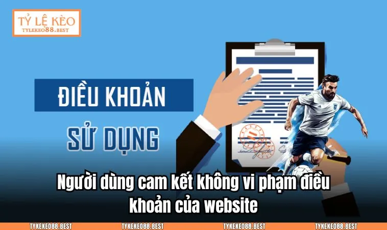 dieu khoan su dung 3 Người dùng cam kết không vi phạm điều khoản của website