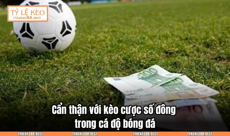 meo choi ca do bong da 2 Cẩn thận với kèo cược số đông trong cá độ bóng đá