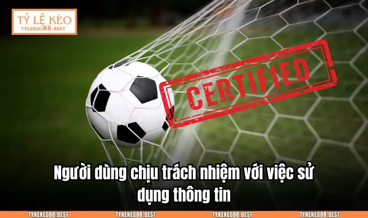 mien tru trach nhiem 2 Người dùng chịu trách nhiệm với việc sử dụng thông tin