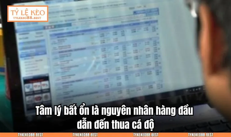 tai sao ca do bong da luon thu 3 Tâm lý bất ổn là nguyên nhân hàng đầu dẫn đến thua cá độ